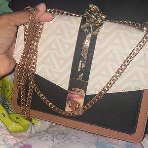 Aldo Purse